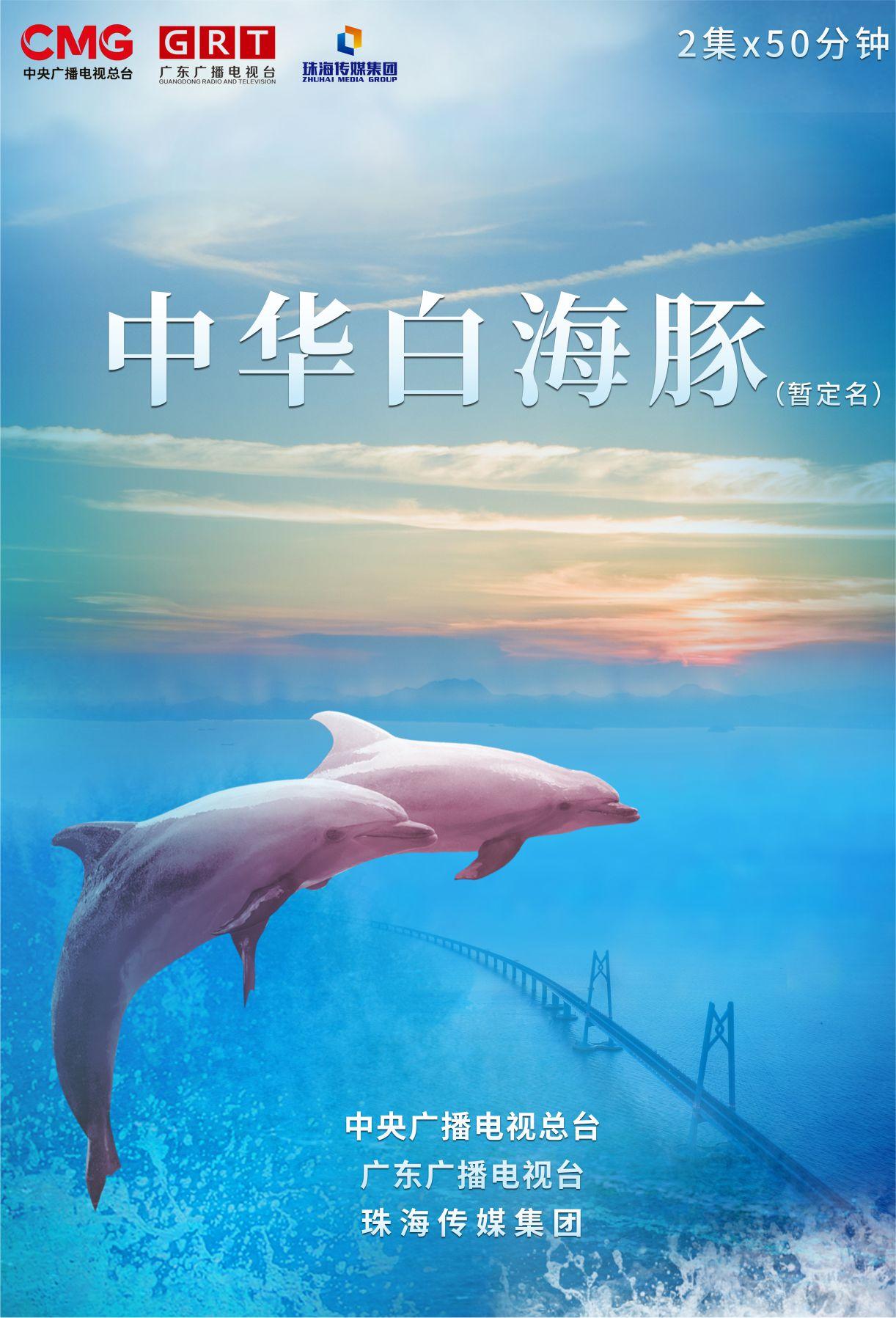 2024年河南省水生野生動(dòng)物保護(hù)科普宣傳月活動(dòng)在鄭州海昌海洋公園舉行